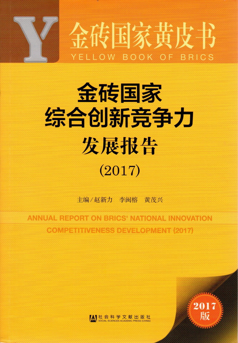 插鸡网站在线免费观看金砖国家综合创新竞争力发展报告（2017）